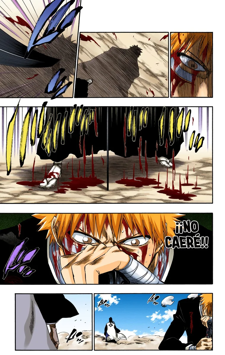 Bleach – Digital Colored Comics Capítulo 167 - Page 5