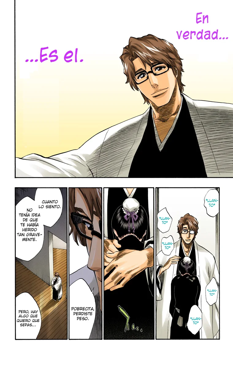 Bleach – Digital Colored Comics Capítulo 169 - Page 15