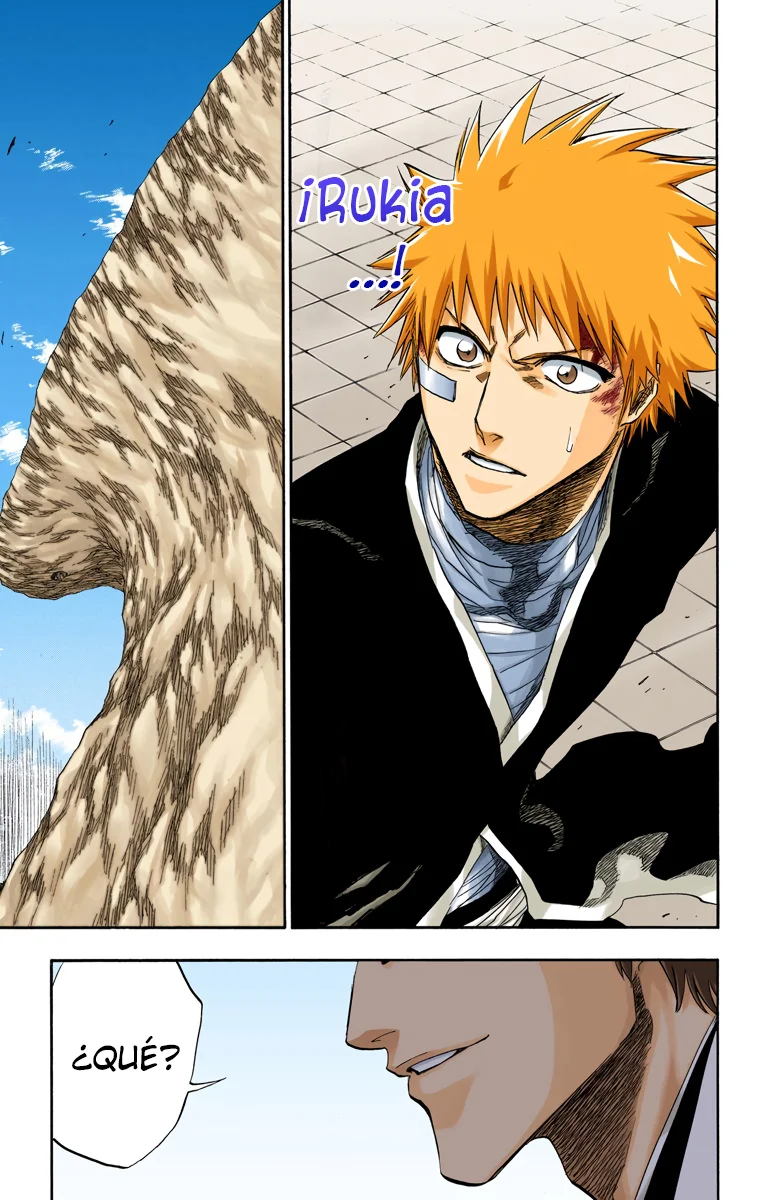 Bleach – Digital Colored Comics Capítulo 172 - Page 17