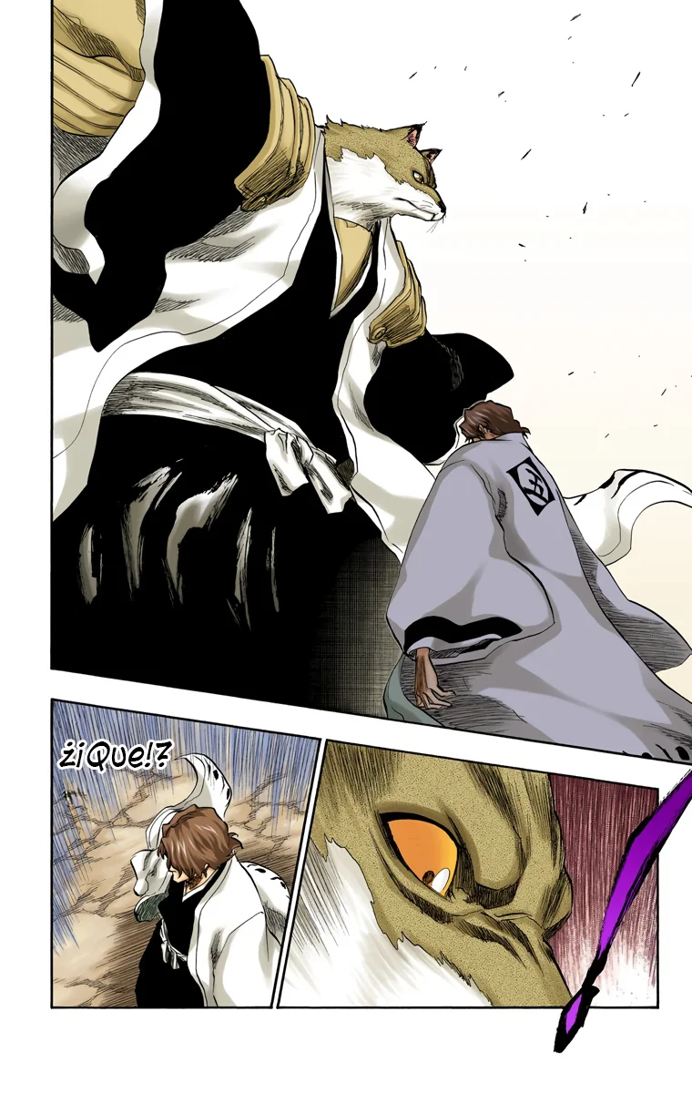 Bleach – Digital Colored Comics Capítulo 176 - Page 11