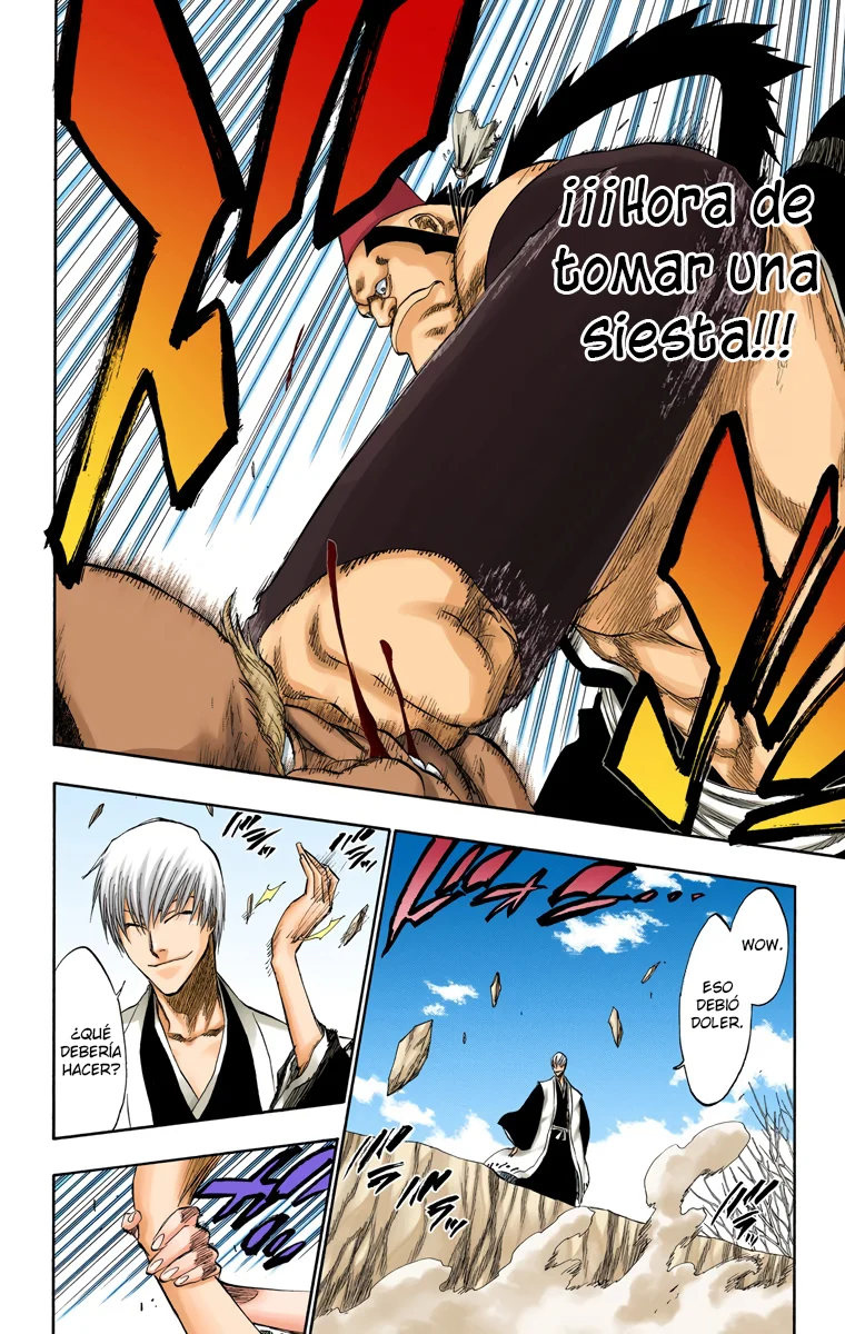 Bleach – Digital Colored Comics Capítulo 177 - Page 14