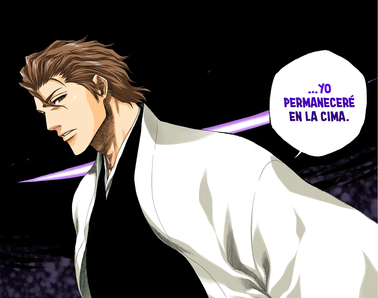 Bleach – Digital Colored Comics Capítulo 178 - Page 16