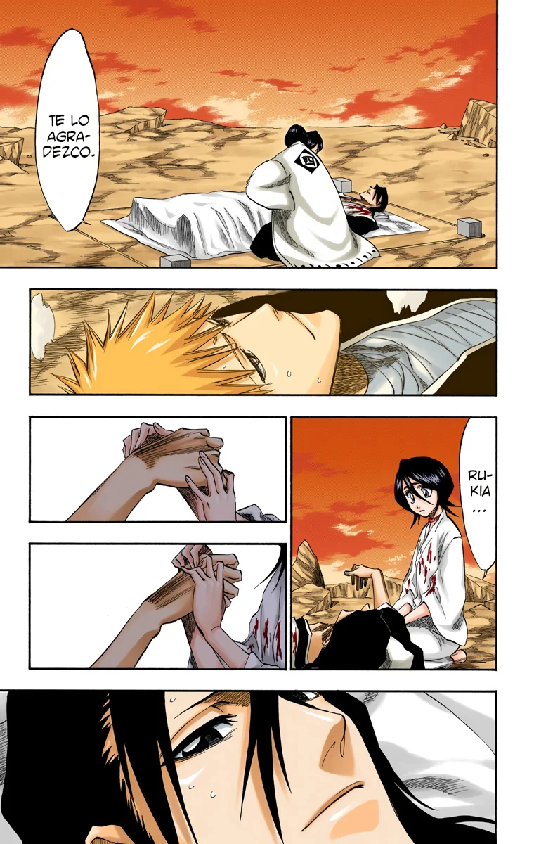 Bleach – Digital Colored Comics Capítulo 179 - Page 24