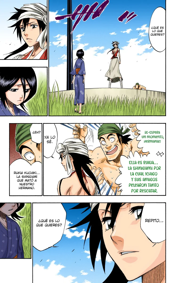 Bleach – Digital Colored Comics Capítulo 181 - Page 10