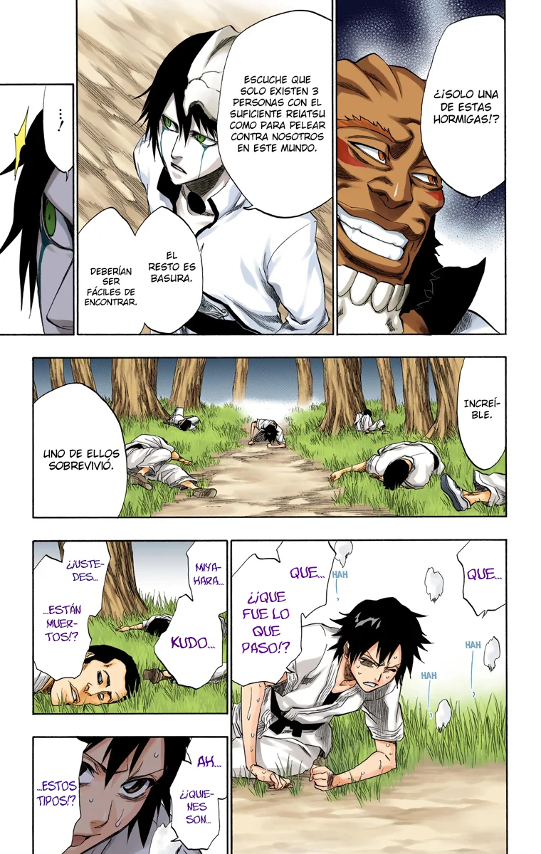 Bleach – Digital Colored Comics Capítulo 191 - Page 12