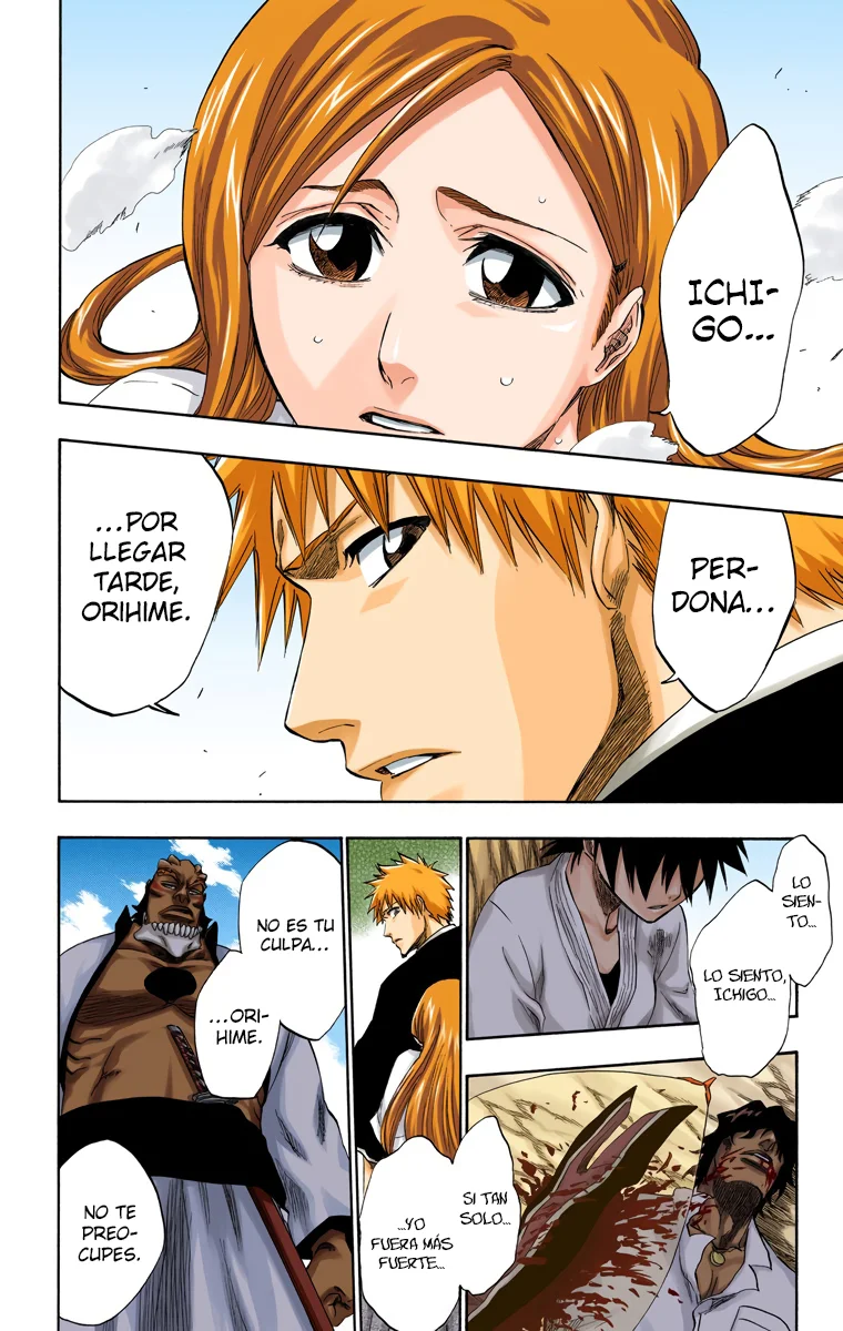 Bleach – Digital Colored Comics Capítulo 192 - Page 19