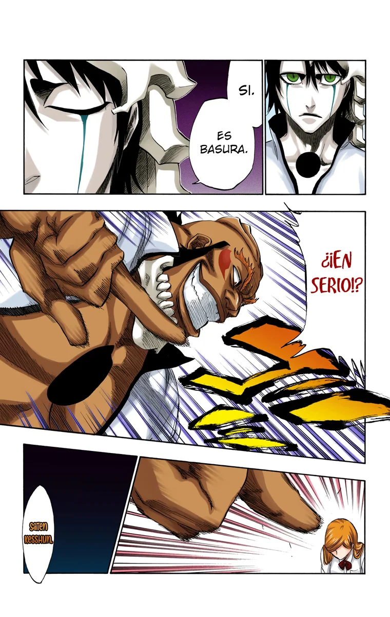 Bleach – Digital Colored Comics Capítulo 192 - Page 6