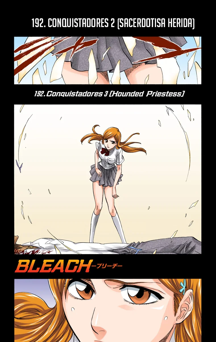 Bleach – Digital Colored Comics Capítulo 192 - Page 8