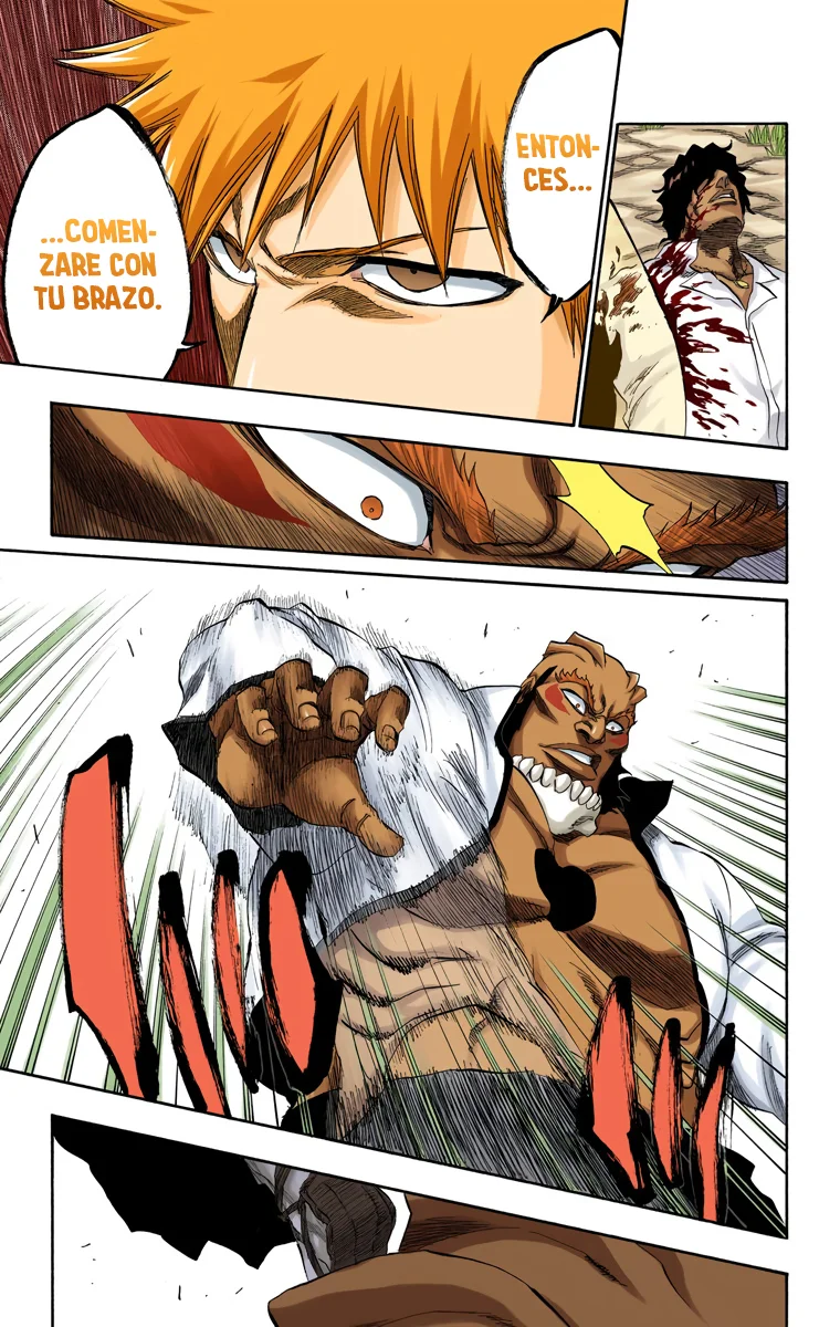 Bleach – Digital Colored Comics Capítulo 193 - Page 11