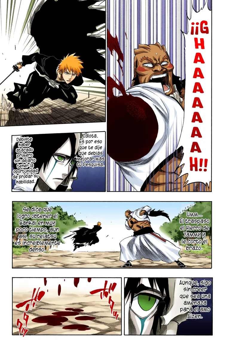 Bleach – Digital Colored Comics Capítulo 193 - Page 13