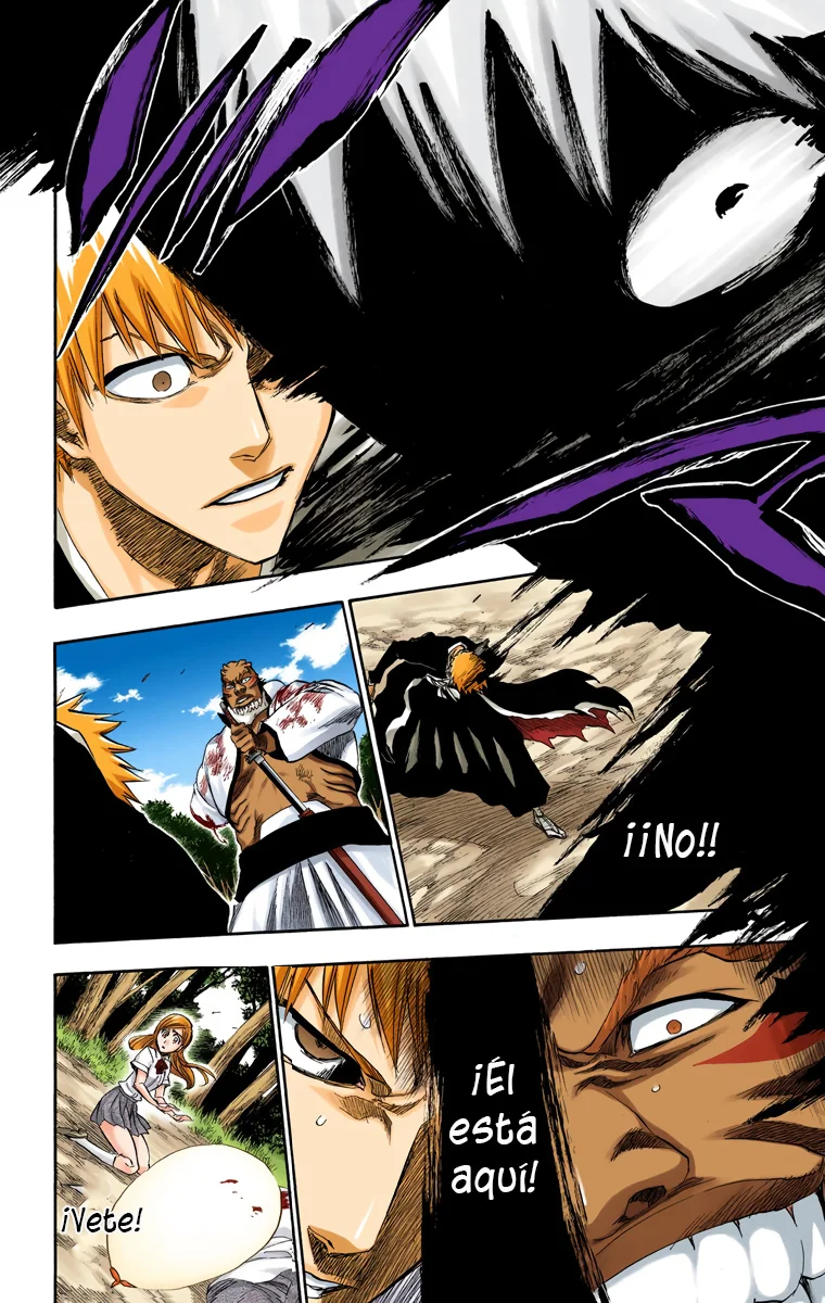 Bleach – Digital Colored Comics Capítulo 193 - Page 16