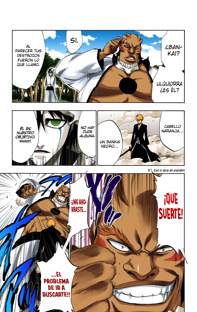 Bleach – Digital Colored Comics Capítulo 193 - Page 9
