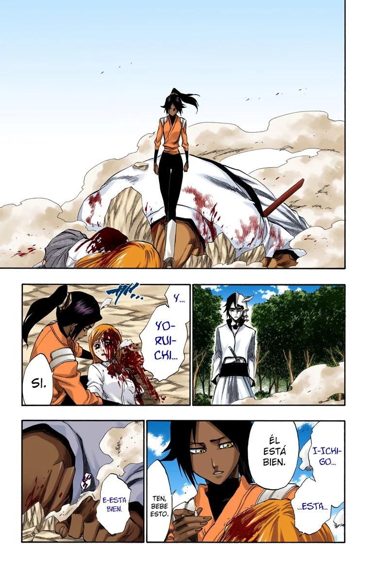 Bleach – Digital Colored Comics Capítulo 194 - Page 8