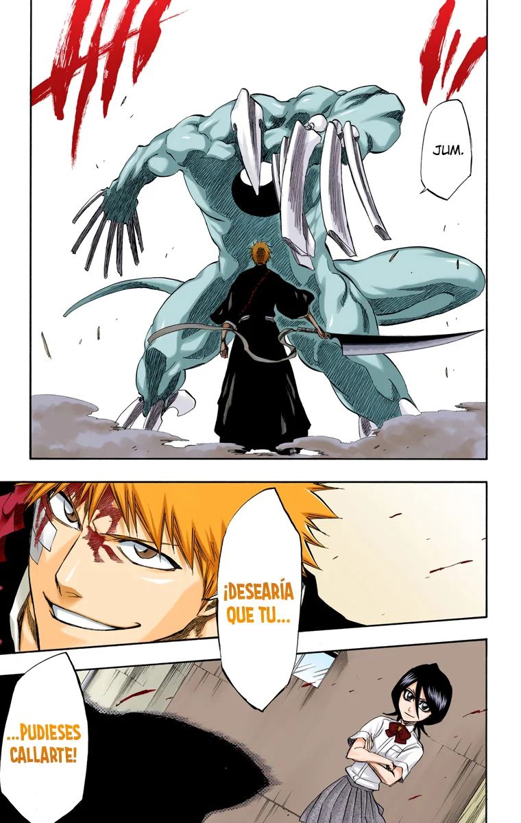Bleach – Digital Colored Comics Capítulo 196 - Page 16
