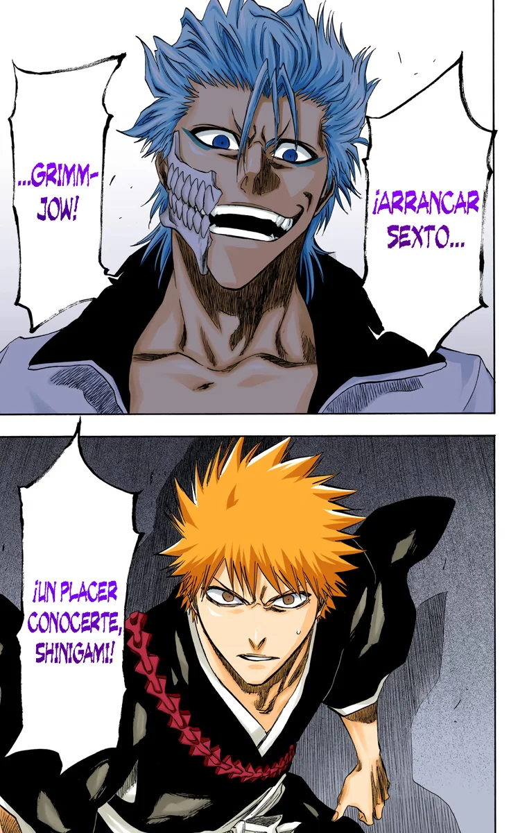 Bleach – Digital Colored Comics Capítulo 202 - Page 8