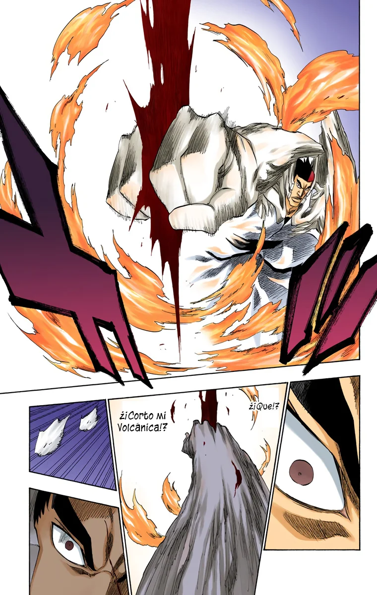 Bleach – Digital Colored Comics Capítulo 205 - Page 11