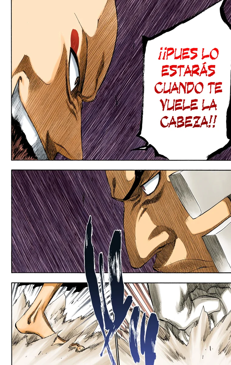 Bleach – Digital Colored Comics Capítulo 205 - Page 8