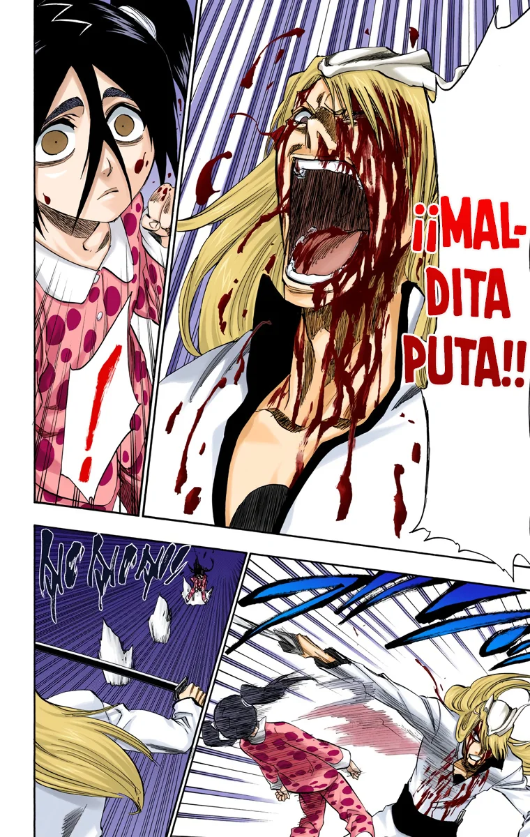 Bleach – Digital Colored Comics Capítulo 207 - Page 17