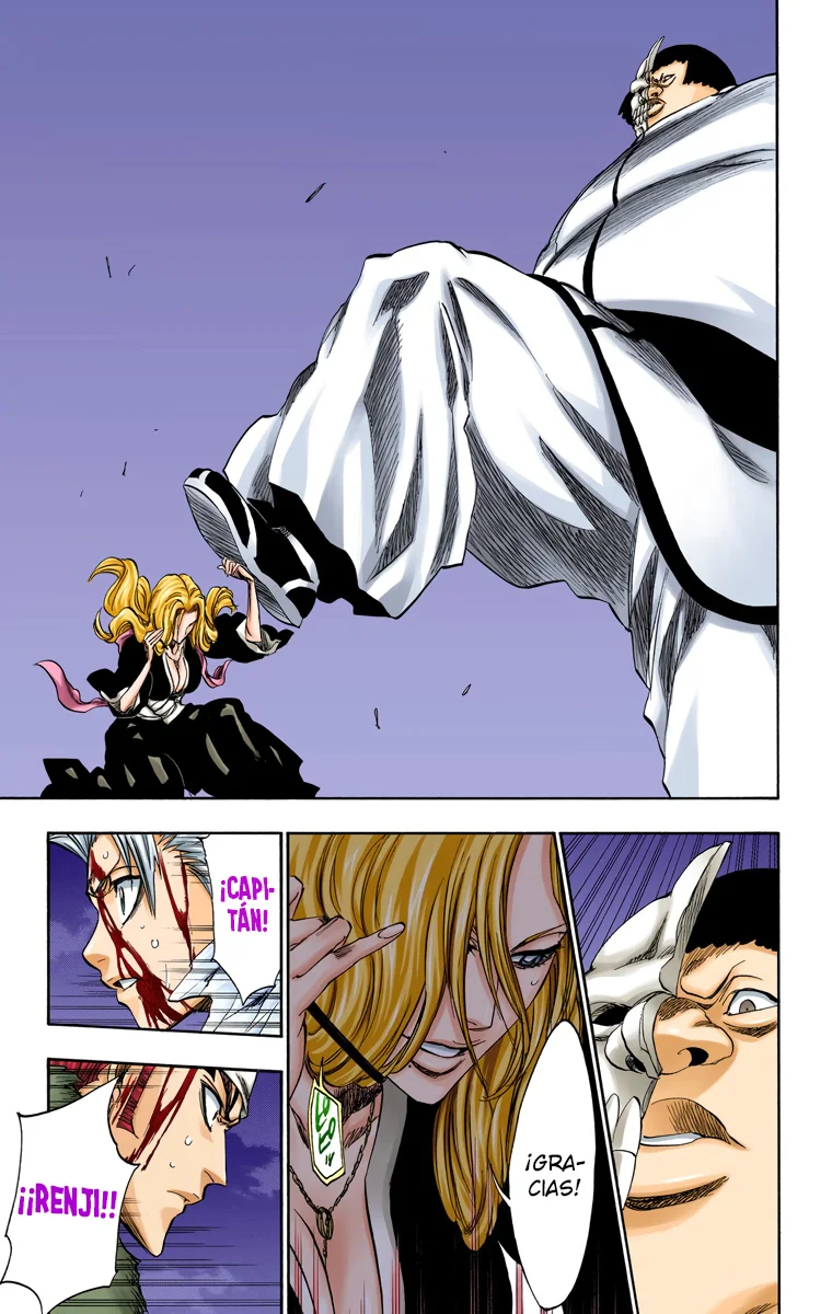 Bleach – Digital Colored Comics Capítulo 209 - Page 14