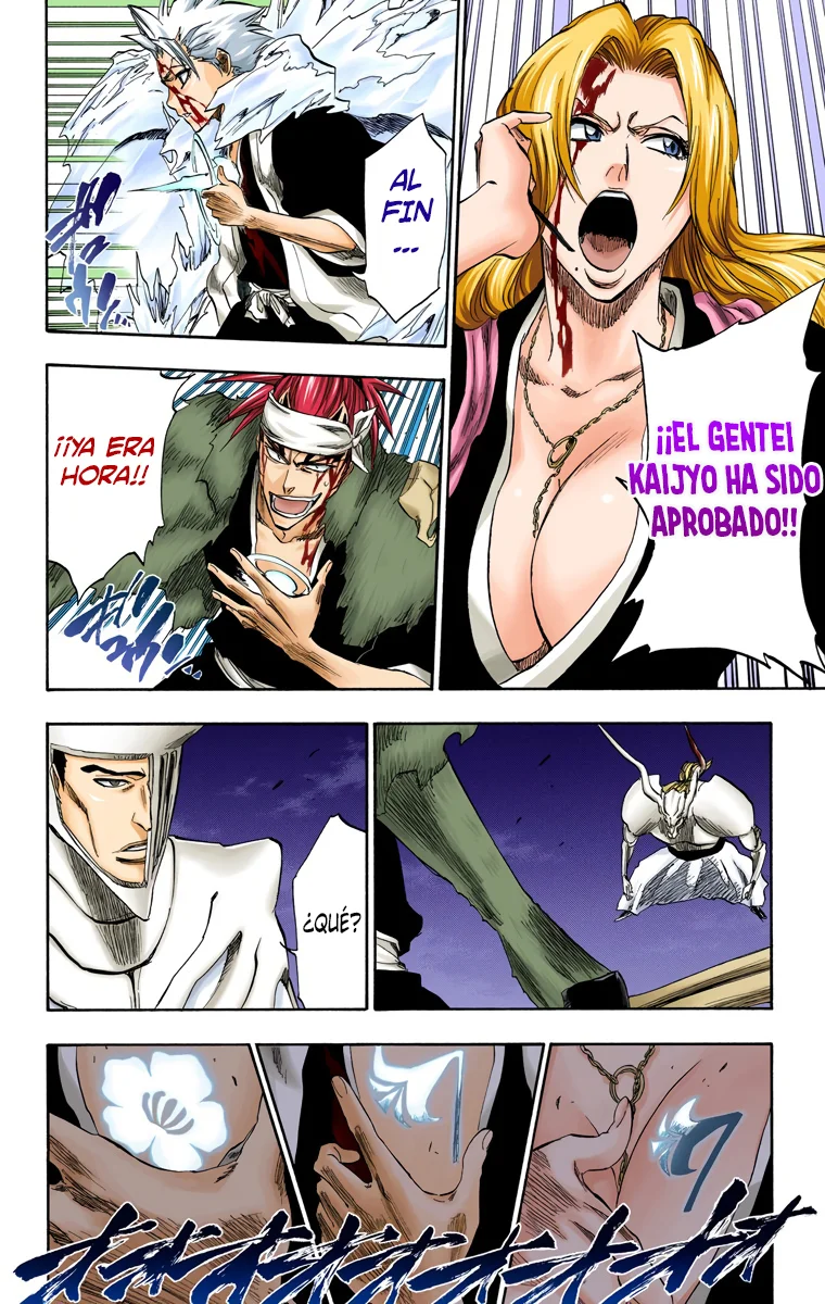 Bleach – Digital Colored Comics Capítulo 209 - Page 15