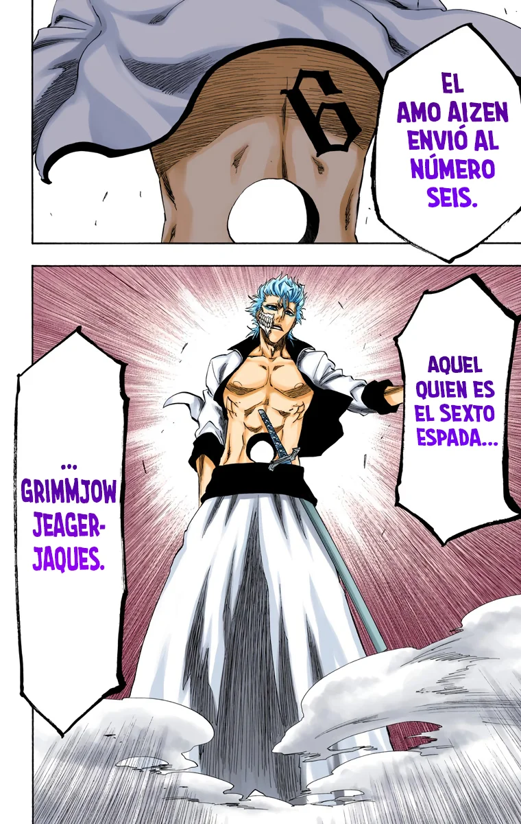 Bleach – Digital Colored Comics Capítulo 209 - Page 7