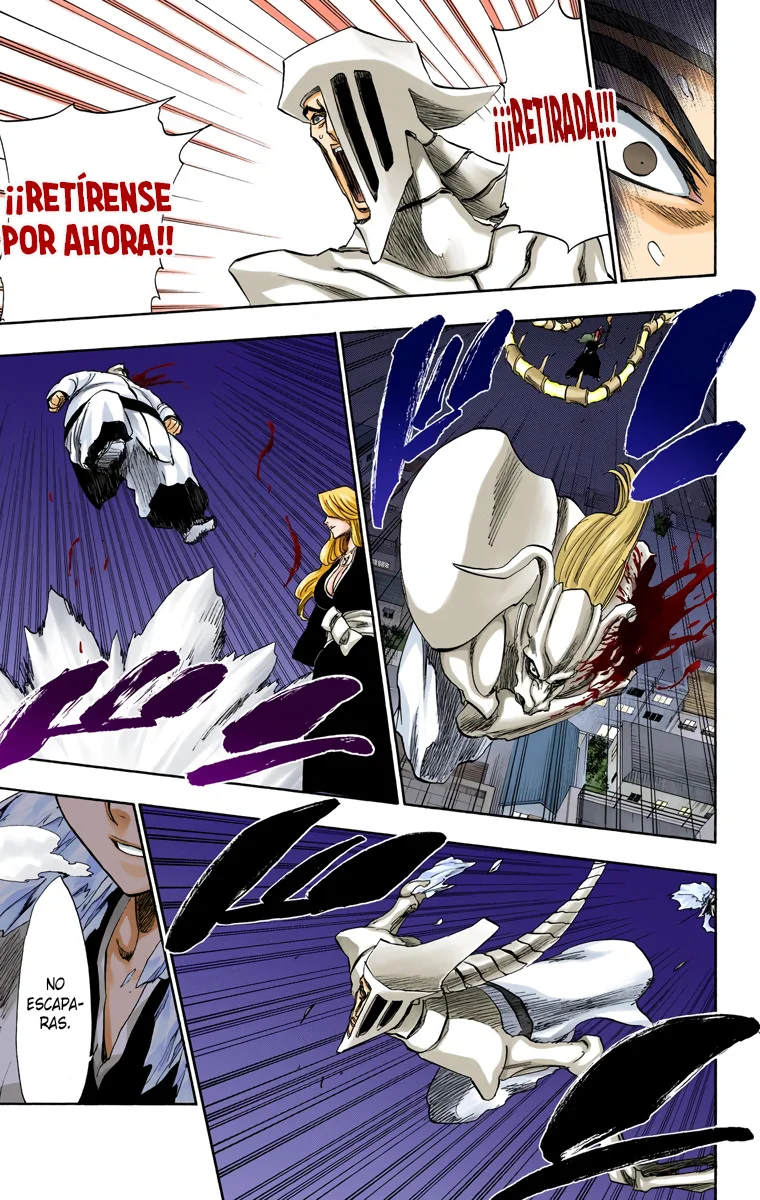 Bleach – Digital Colored Comics Capítulo 210 - Page 15