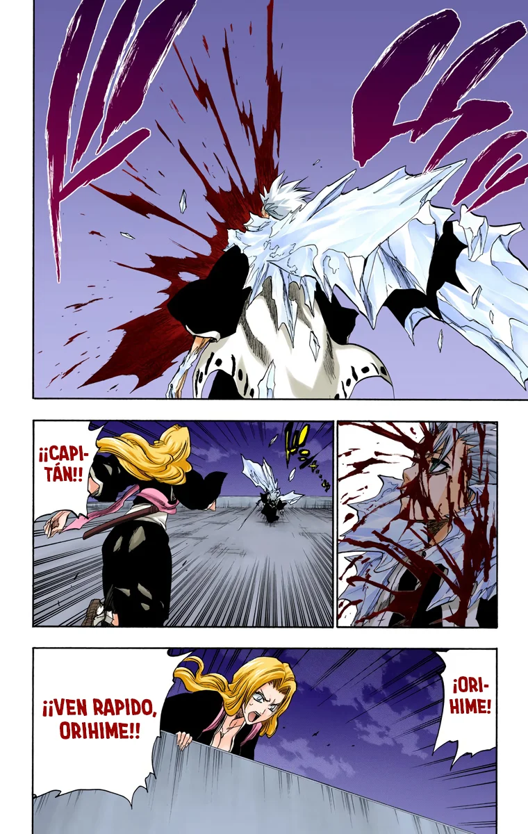 Bleach – Digital Colored Comics Capítulo 211 - Page 3