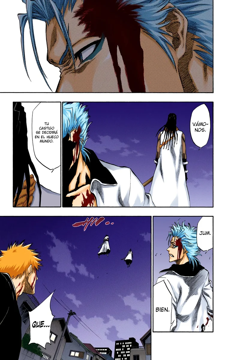 Bleach – Digital Colored Comics Capítulo 212 - Page 10
