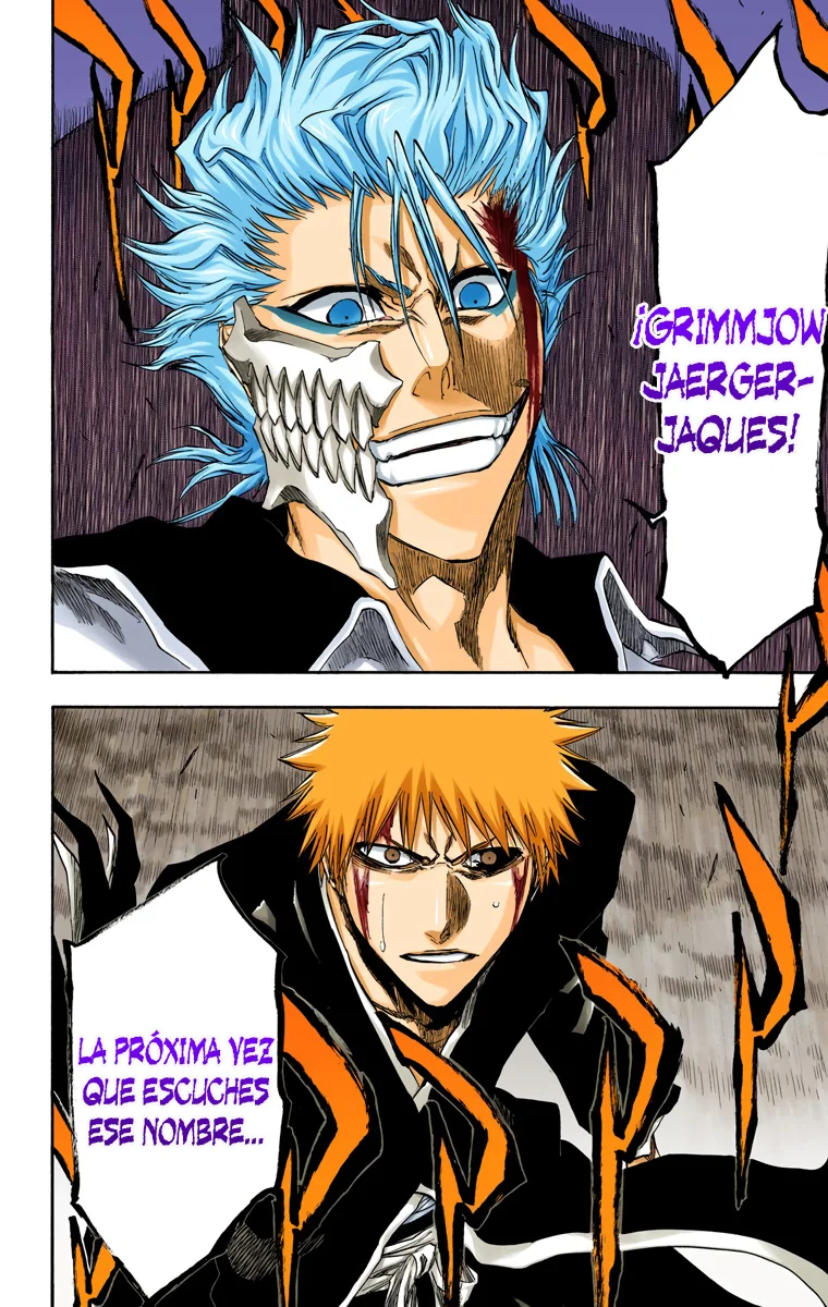 Bleach – Digital Colored Comics Capítulo 212 - Page 15
