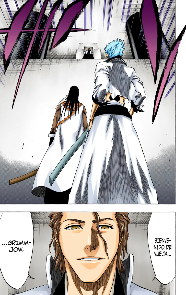 Bleach – Digital Colored Comics Capítulo 213 - Page 10