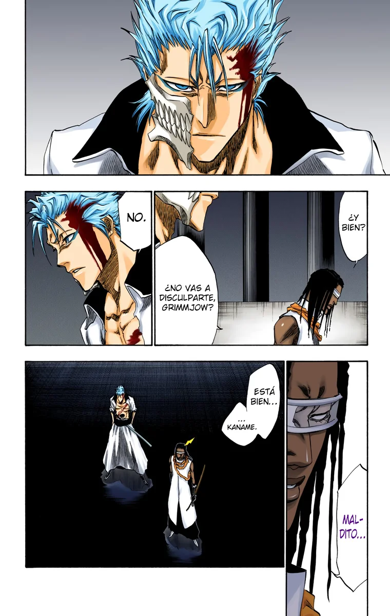 Bleach – Digital Colored Comics Capítulo 213 - Page 11