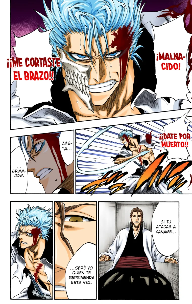 Bleach – Digital Colored Comics Capítulo 213 - Page 17