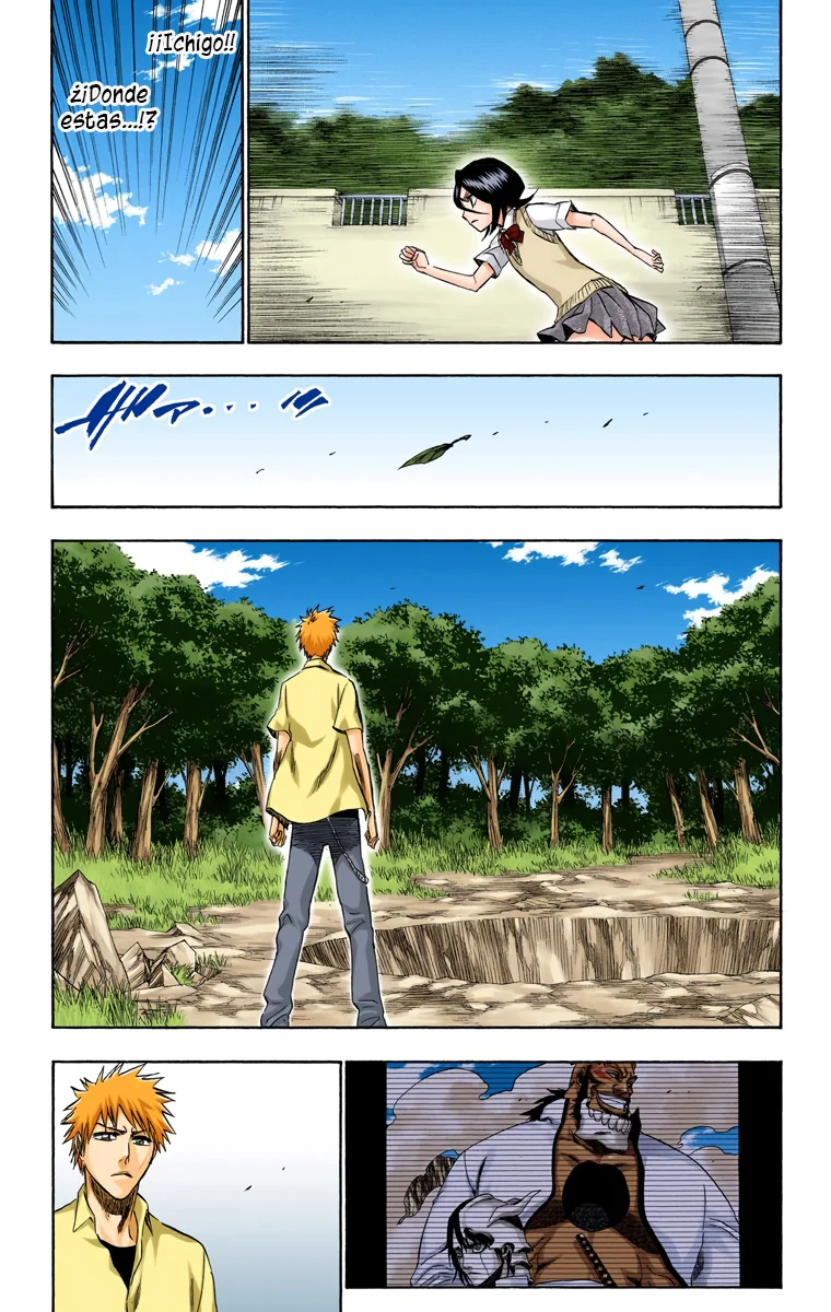 Bleach – Digital Colored Comics Capítulo 214 - Page 11