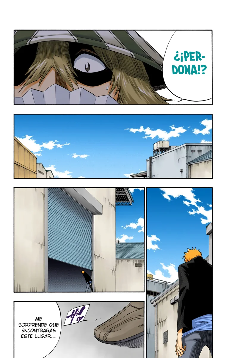 Bleach – Digital Colored Comics Capítulo 214 - Page 18