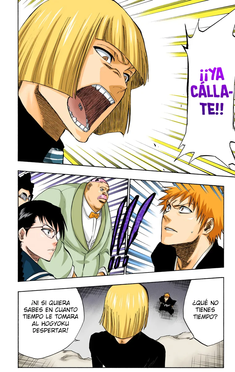 Bleach – Digital Colored Comics Capítulo 217 - Page 13