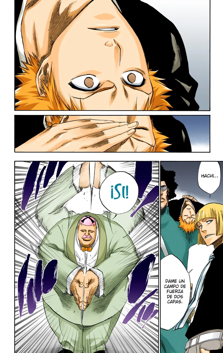 Bleach – Digital Colored Comics Capítulo 217 - Page 17