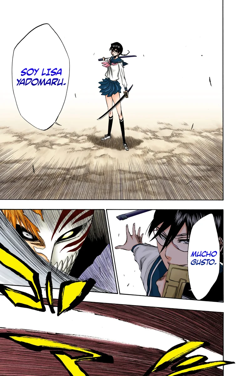 Bleach – Digital Colored Comics Capítulo 218 - Page 17