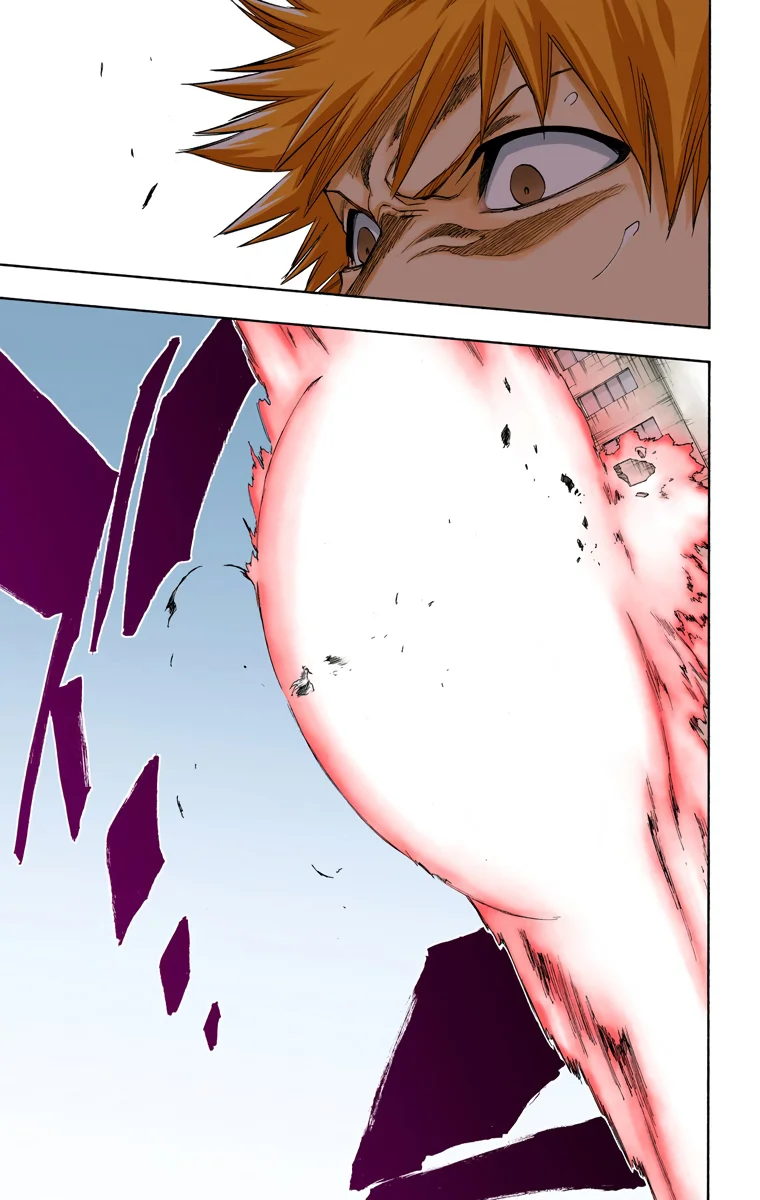 Bleach – Digital Colored Comics Capítulo 219 - Page 14