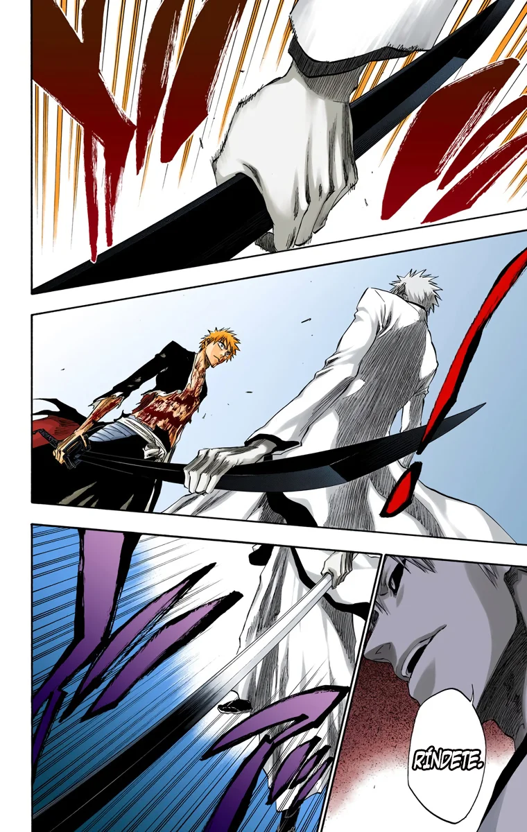 Bleach – Digital Colored Comics Capítulo 219 - Page 19