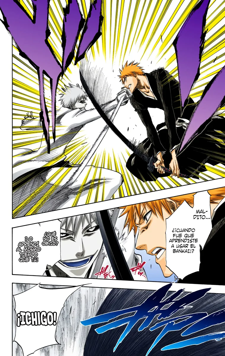 Bleach – Digital Colored Comics Capítulo 219 - Page 9
