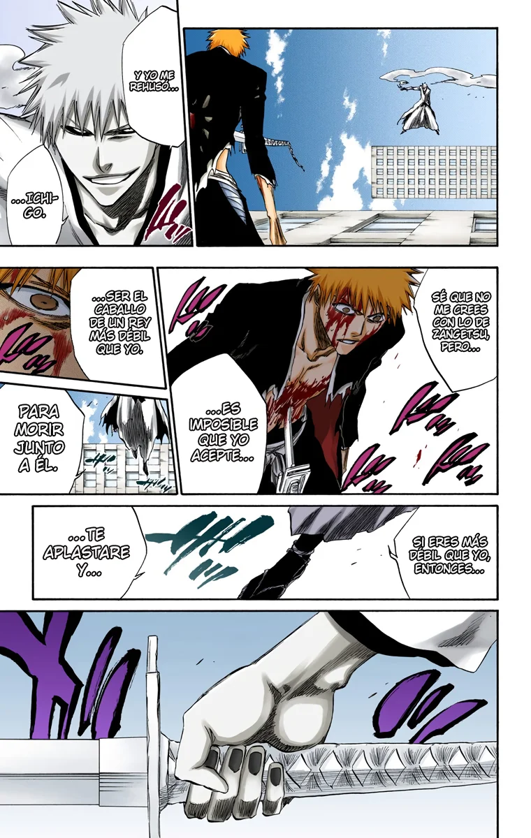 Bleach – Digital Colored Comics Capítulo 220 - Page 16