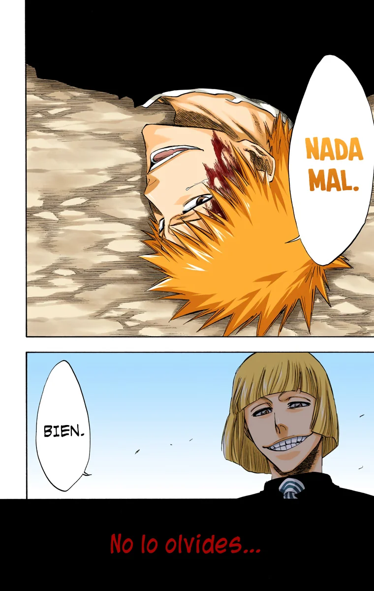 Bleach – Digital Colored Comics Capítulo 222 - Page 13