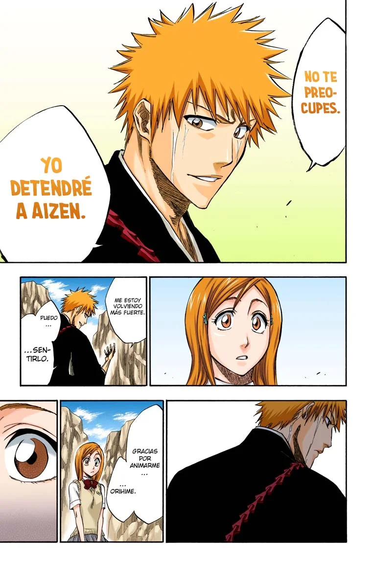 Bleach – Digital Colored Comics Capítulo 225 - Page 16