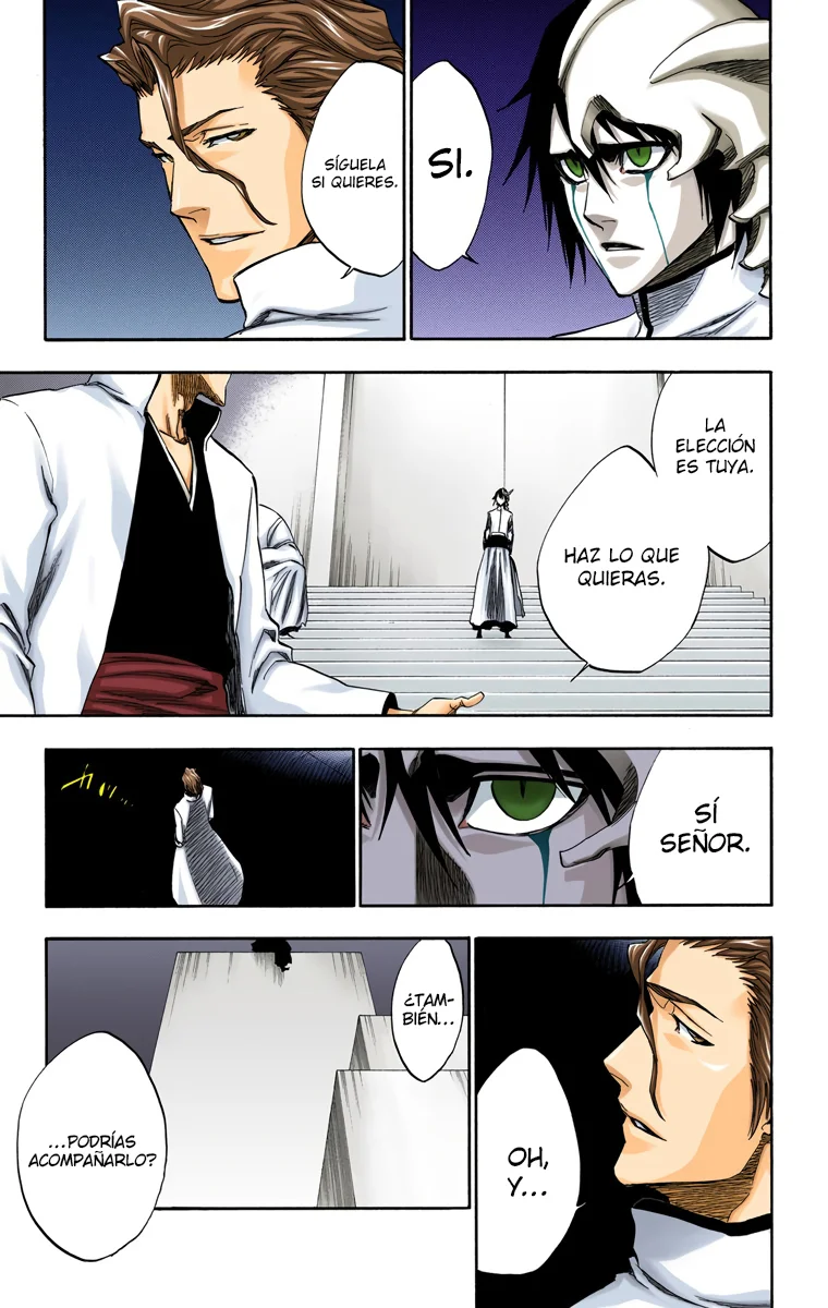 Bleach – Digital Colored Comics Capítulo 229 - Page 17