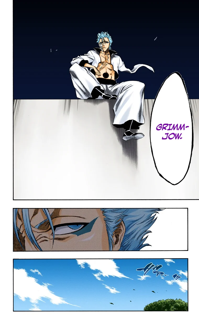Bleach – Digital Colored Comics Capítulo 229 - Page 18