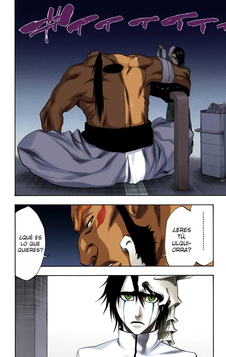 Bleach – Digital Colored Comics Capítulo 229 - Page 3