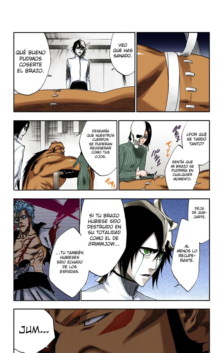 Bleach – Digital Colored Comics Capítulo 229 - Page 4