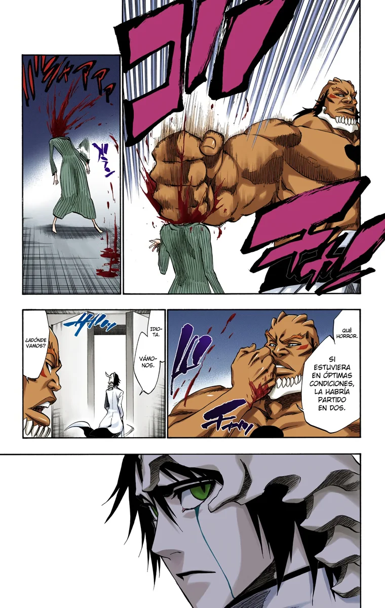 Bleach – Digital Colored Comics Capítulo 229 - Page 6