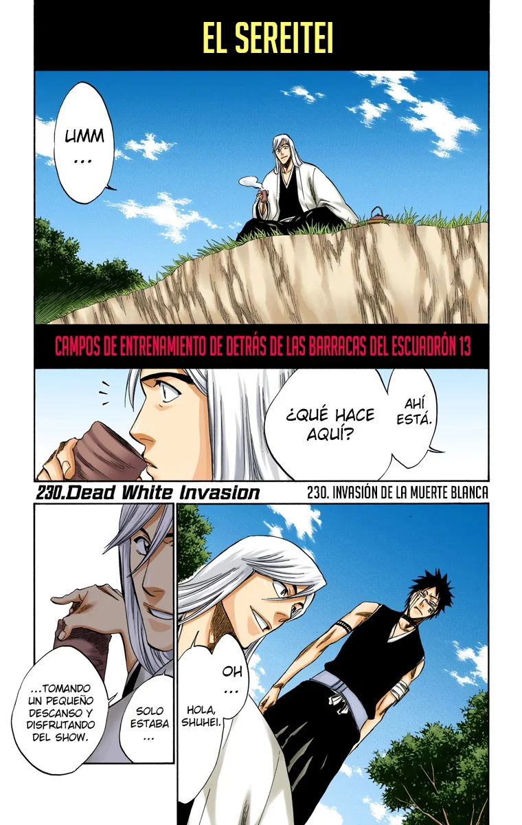 Bleach – Digital Colored Comics Capítulo 230 - Page 2