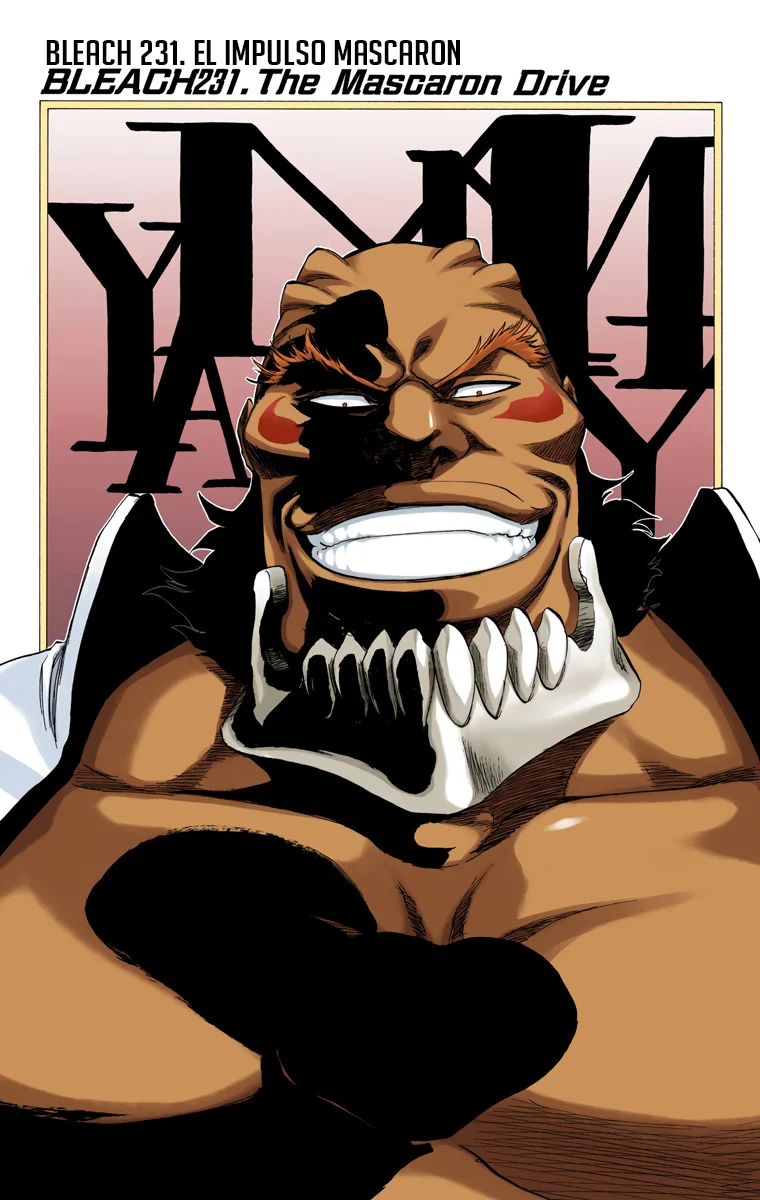 Bleach – Digital Colored Comics Capítulo 231 - Page 3